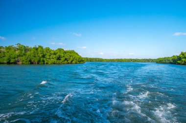 Küba adası. Atlantik Okyanusu.