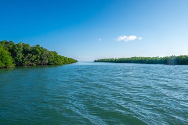 Küba adası. Atlantik Okyanusu.