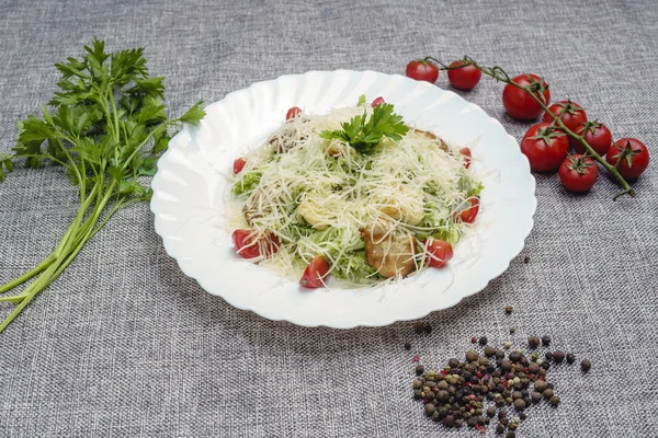 Beyaz tabakta tavuklu Sezar salatası. Restoran menüsü. Domateslerle süslenmiş, rendelenmiş peynir serpiştirilmiş. Açık gri bir tuvalde. 