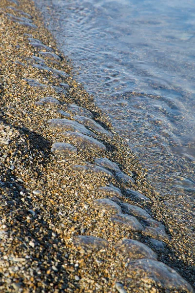 Many small dead jellyfish glisten on the edge of the surf on a pebbly beach of small pebbles — 스톡 사진