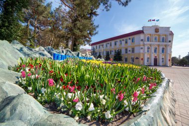 Gelendzhik, Rusya - 20 Temmuz 2017 'de, güneşli bir günde şehir yönetimi, tatil beldesi, Gelendzhik' in ön planda çiçekli binası