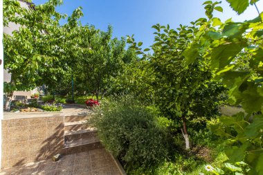 Kulübenin arka bahçesi güneşli bir günde meyve ağaçları ve yeşil çimlerle doludur. Ağaçların arasından kulübe binasını görebilirsin..