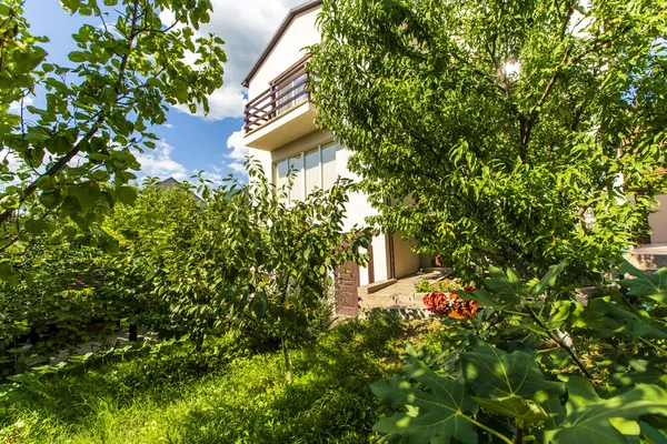 Η πίσω αυλή του σπιτιού είναι γεμάτη οπωροφόρα δέντρα και πράσινο γρασίδι σε μια φωτεινή ηλιόλουστη μέρα. μπορείτε να δείτε το κτίριο εξοχικό σπίτι μέσα από τα δέντρα. — Φωτογραφία Αρχείου