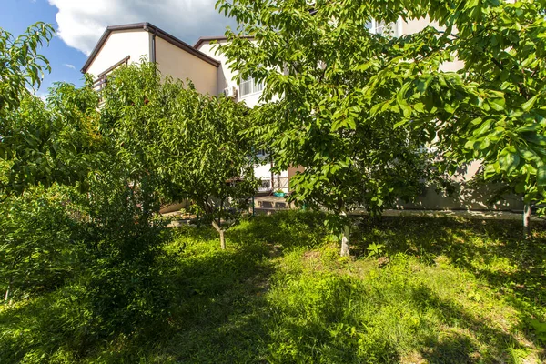 O quintal da casa está cheio de árvores de fruto e grama verde em um dia ensolarado brilhante. você pode ver o edifício da casa de campo através das árvores . — Fotografia de Stock