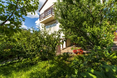 Kulübenin arka bahçesi güneşli bir günde meyve ağaçları ve yeşil çimlerle doludur. Ağaçların arasından kulübe binasını görebilirsin..