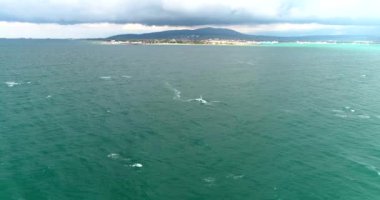 Sonbahar fırtınalı havasında Karadeniz 'in Gelendzhik tatil beldesinde dalgıç kıyafetli rüzgar sörfçüleri yelken altında yarışıyorlar. Bir İHA 'dan video