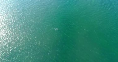 Şişme bir SUP tahtasının üzerinde kürekle uçan bir adamın tahtında uçmak..