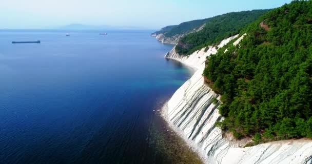 Voo sobre a costa do mar negro de Gelendzhik para Novorossiysk. O drone voa sobre altas rochas inclinadas de rocha em camadas. As montanhas estão cobertas de pinheiros. Uma pequena praia de seixos no sopé de — Vídeo de Stock