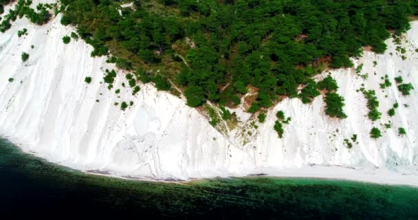 晴れた日には小さな小石のビーチで白い崖に沿って飛んでいます。松は岩の上で成長する。岩は層状の構造をしている。海は澄んでいて滑らかだ — ストック動画