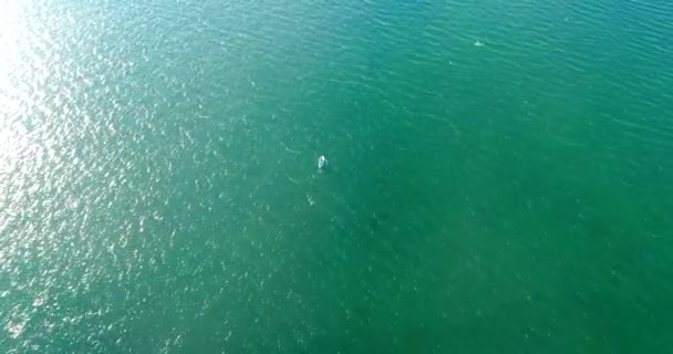 Flyga runt på tronen av en man med en åra flyter på en uppblåsbar SUP-styrelsen. — Stockvideo