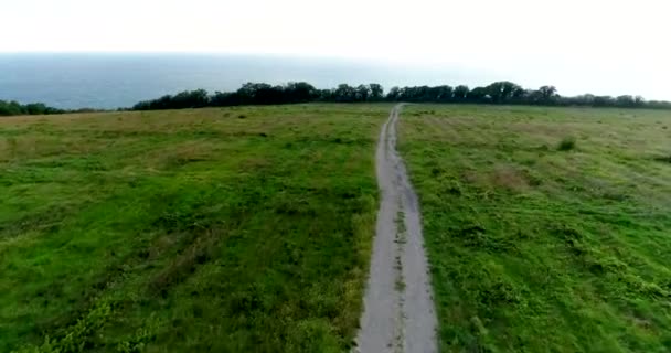 Fliegen über einen Feldweg, der durch ein Feld mit grünem Gras zum Meer führt — Stockvideo