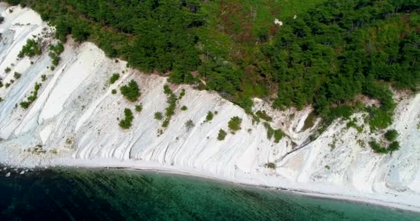 Політ уздовж білих скель з невеликим гальковим пляжем в чисту сонячну погоду. Сосни ростуть на скелях. Скелі мають шарувату структуру. Море чисте і гладке — стокове відео
