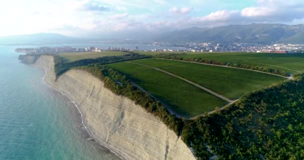 Політ через виноградники зростає в прямих рядах на Чорному морському узбережжі біля Геленджика. Сквари молодого виноградника в лісі. Ми наближаємося з морських порід і Чорного моря. У — стокове відео