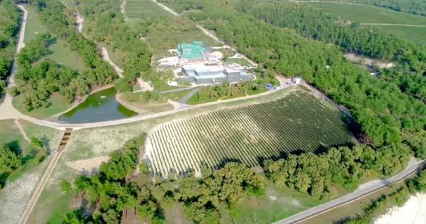 Bâtiments en construction avec vignobles et un étang sur la rive rocheuse de la mer Noire. Vue aérienne . — Video