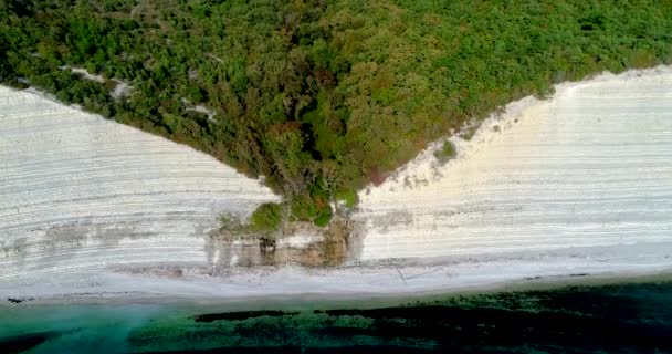 Descenso al Mar Negro desde el bosque. El camino desciende desde el acantilado hasta la playa salvaje de guijarros. Sosnovka. Agua junto a un árbol — Vídeos de Stock