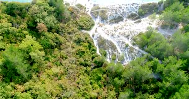 Descente vers la mer Noire depuis la forêt. Le sentier descend de la falaise jusqu "à la plage sauvage de galets. Sosnovka. Un arbre avec une montagne en arrière-plan 