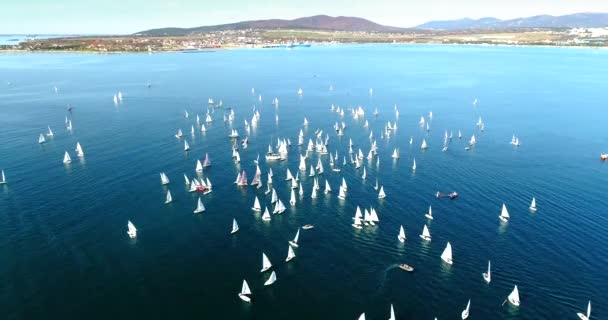 Regatta i Gelendzhik Bay. En hel del små en-och två-personers båtar susar i bukten med en lätt vind. Utsikten från fågelflygningens höjd. — Stockvideo