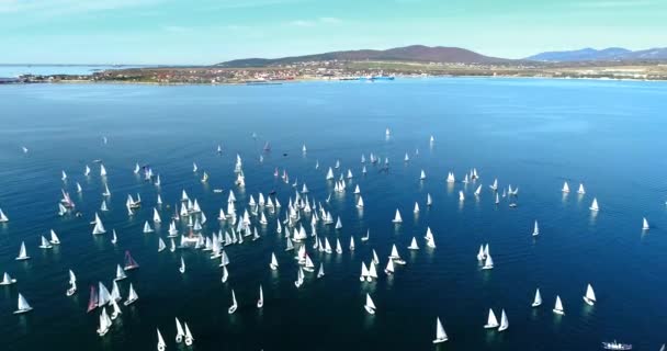 Regata en la bahía de Gelendzhik. Un montón de pequeños yates de una y dos personas empujan en la bahía con un viento ligero. La vista desde la altura del vuelo de las aves . — Vídeos de Stock