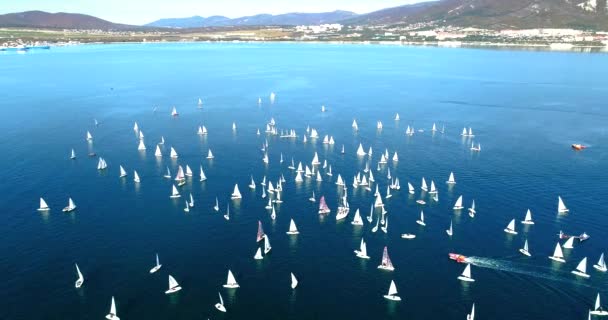 Regatta i Gelendzhik Bay. En hel del små en-och två-personers båtar susar i bukten med en lätt vind. Utsikten från fågelflygningens höjd. — Stockvideo