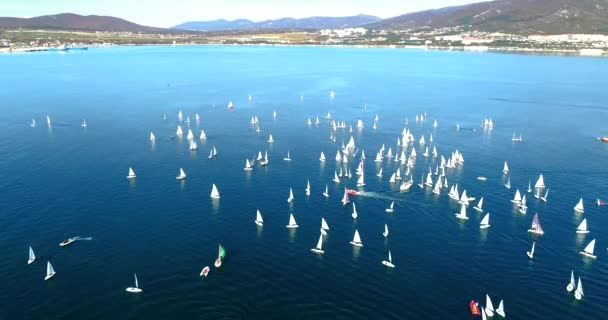 Regatta in Gelendzhik Bay. A lot of small one-and two-person yachts jostle in the Bay with a light wind. The view from the height of bird flight. — Stock Video