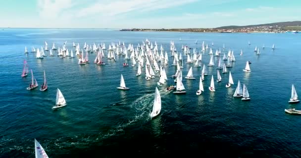 Regatta i Gelendzhik Bay. En hel del små en-och två-personers båtar susar i bukten med en lätt vind. Utsikten från fågelflygningens höjd. — Stockvideo