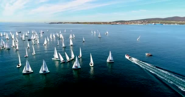 Régate à Gelendzhik Bay. Beaucoup de petits yachts d'une et deux personnes se bousculent dans la baie avec un vent léger. La vue depuis la hauteur du vol des oiseaux . — Video