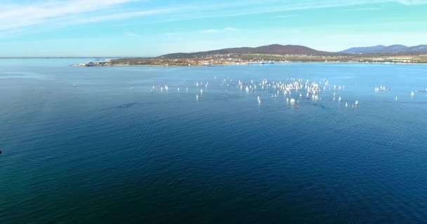 Regata em Gelendzhik Bay. Um monte de pequenos iates de uma e duas pessoas correm na Baía com um vento leve. A vista da altura do voo de pássaro . — Vídeo de Stock