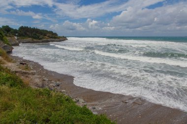 Çam ağaçlarının büyüdüğü kayalık bölgede fırtına dalgaları var.