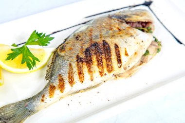 Izgara Dorado. Limonlu Dorado kare beyaz bir tabakta. Beyaz arkaplanda