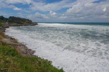 Çam ağaçlarının büyüdüğü kayalık bölgede fırtına dalgaları var.