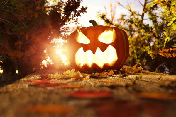 3d renderização de halloween jack-o-lanterna em folhas de outono no foo — Fotografia de Stock