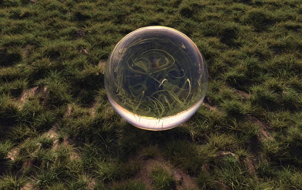 3D rendering a kristálygömb a zöld fű a reggel sunsh — Stock Fotó