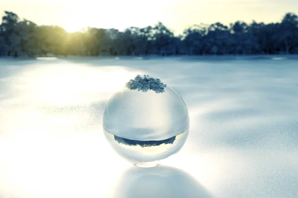 森林伐採の前に雪の水晶玉の 3 d レンダリング — ストック写真