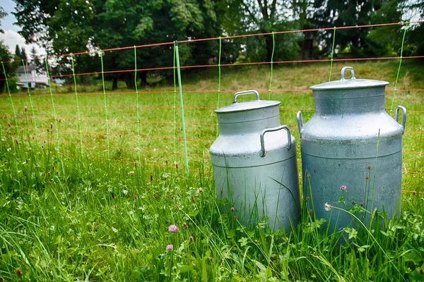 Two metal milk can at pasture landscape — Stock Photo, Image