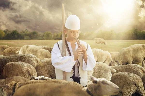 Albanian shepherd surrounded by sheps playing flute in the sunsh — Stock Photo, Image