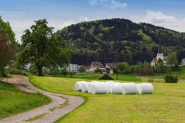 Fardo de feno no campo verde em uma aldeia suíça — Fotografia de Stock