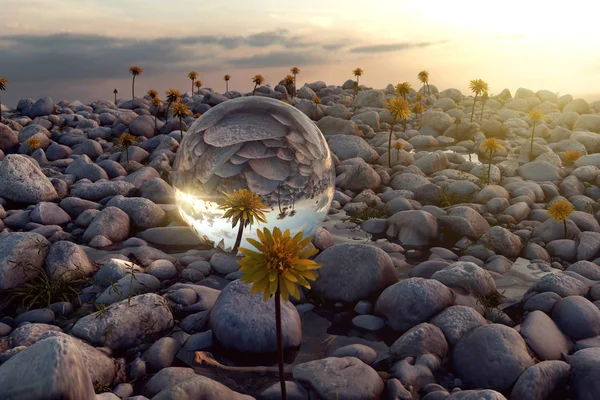 3d renderização de bola de cristal em pedras de seixos no sol da noite — Fotografia de Stock