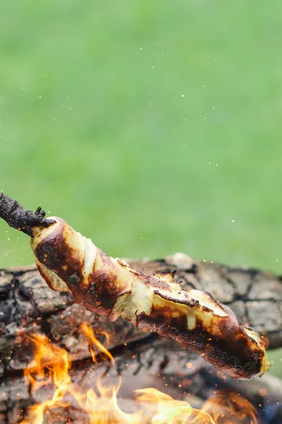 Weiße Grillwurst in Holzstäbchen Grillen am Kamin in — Stockfoto