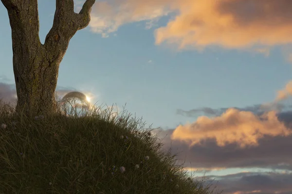 3d rendu de l'arbre sur monticule herbeux avec boule de cristal dans le be — Photo