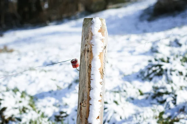 Gros plan du poteau en bois avec isolateur rouge en hiver — Photo