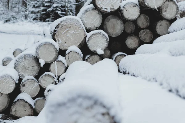 被雪覆盖的新的被切割的原木的木堆 — 图库照片