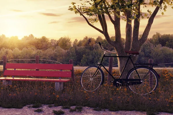 3d rendering of leaned black bicycle at tree in the meadow gras — Stock Photo, Image