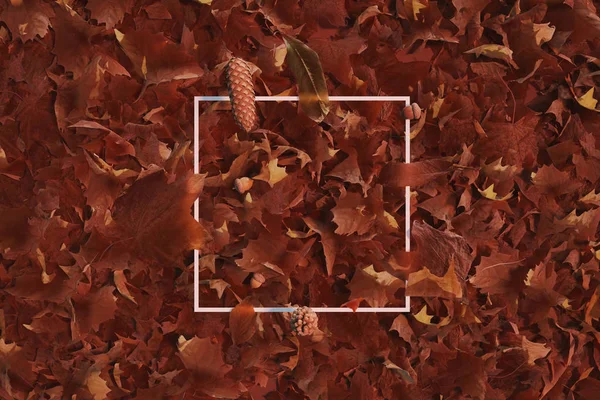 3d renderowania biały kwadrat z jesiennych liści. Płaskie ułożenie min — Zdjęcie stockowe