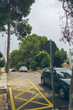 Karanlık gölgeli ormanda bir patika