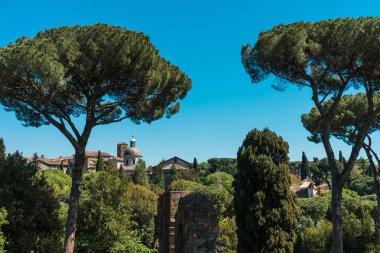 Roma güzel ağaçlar arka planda evleriyle