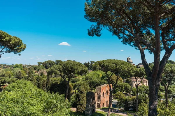 Antik Roma ağaçları arasında kalır