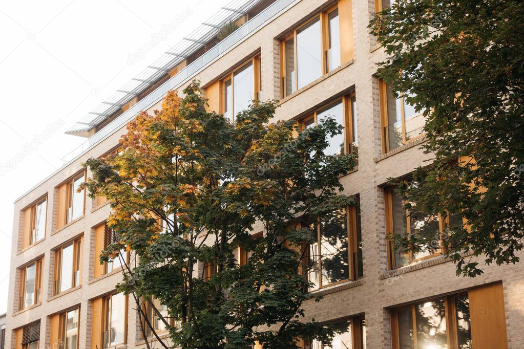 beautiful office building with autumn trees