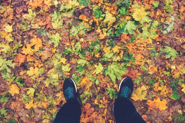 Sonbahar yapraklarında duran adam - doğa teması