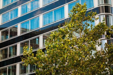 Hdr-look 'daki modern finans evi