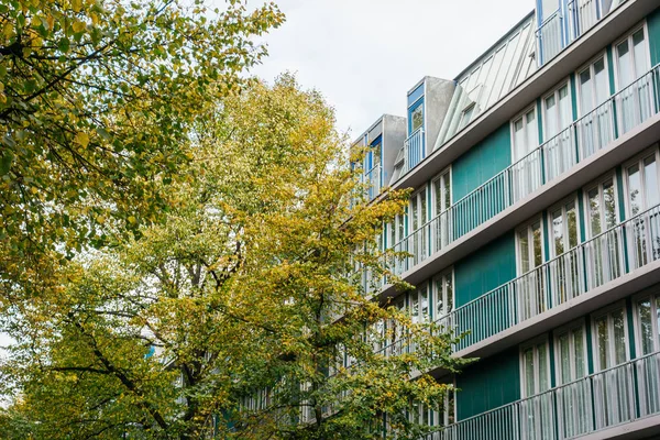 Modern ofis binası olan yeşil ağaç